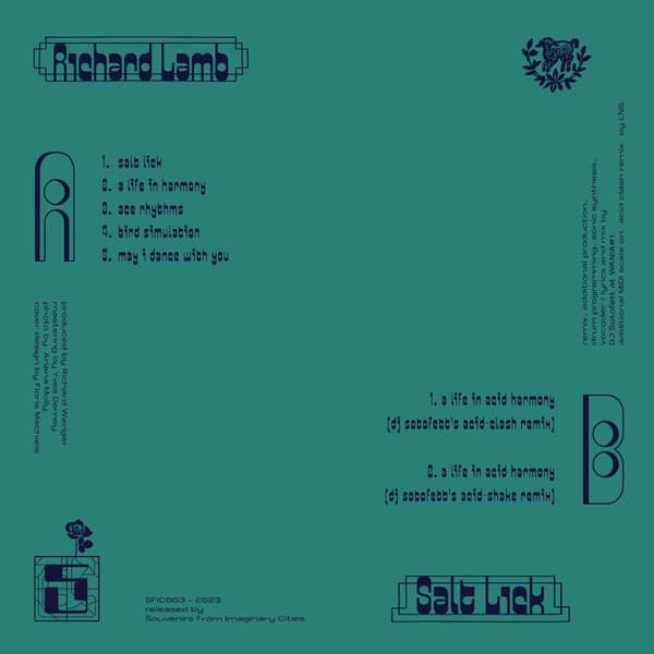 Richard Lamb (5) – Salt Lick (Vinyl, 2023) – Cover